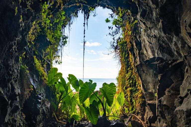 Adventure Honeymoon Bucket List: From Volcano Hikes to Waterfall Activities