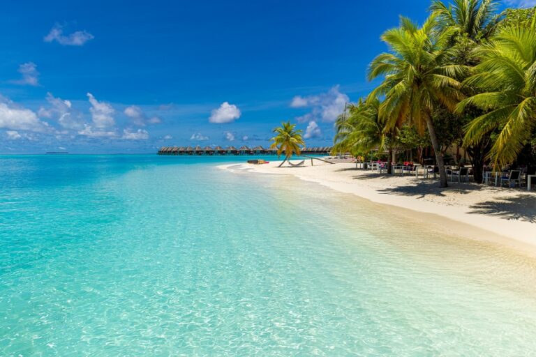 Luxury hotel with water villas and palm trees.