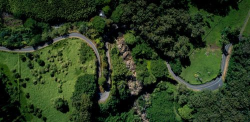 Winding mountain side road admidst green foliage.