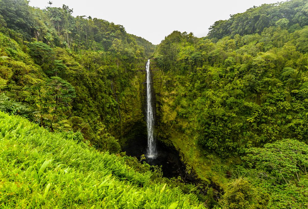 Akaka Falls, Big Island, Hawaii