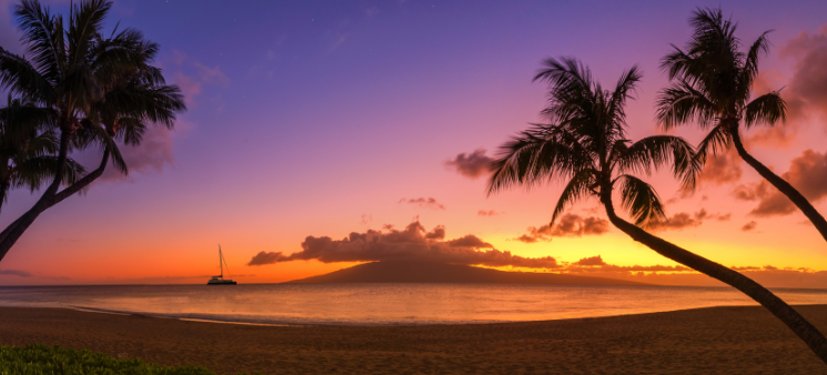 Purple, yellow, orange sunset view at the beach with palm trees and sail boat on water