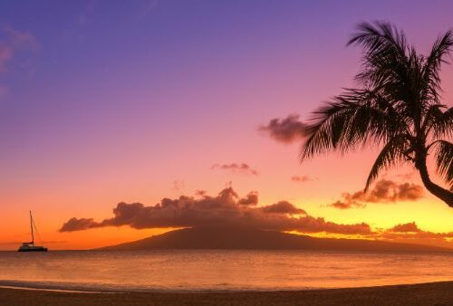 Purple, yellow, orange sunset view at the beach with palm trees and sail boat on water