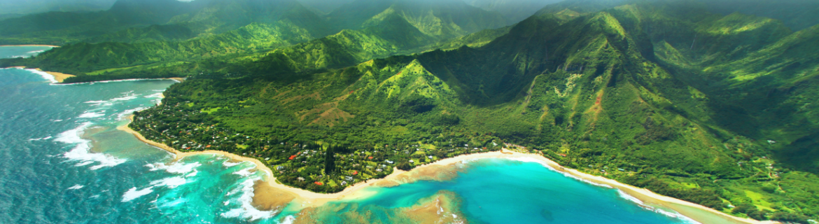 Hawaii aerial view, shoreline beach, lush green mountains
