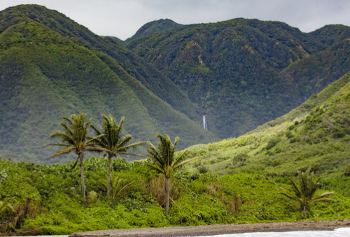 Molokai deep green valley with waterfall in distance