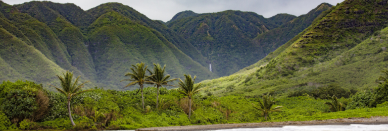 Molokai deep green valley with waterfall in distance