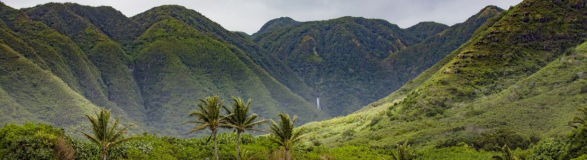 Molokai island, green mountain valley with waterfall in distance.