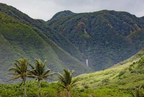 Molokai island, green mountain valley with waterfall in distance.