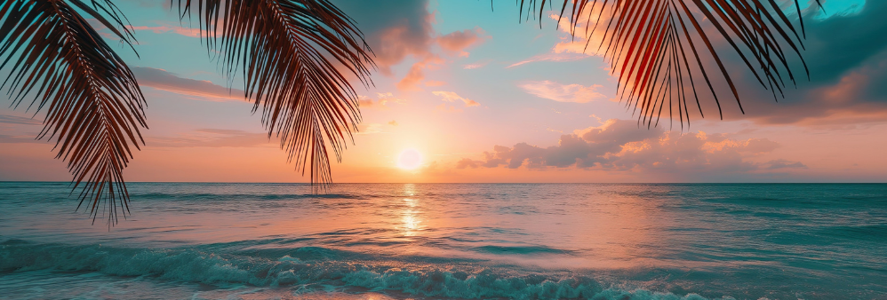 Ocean sunset, blue, yellow, orange with palm trees leaves in foreground.
