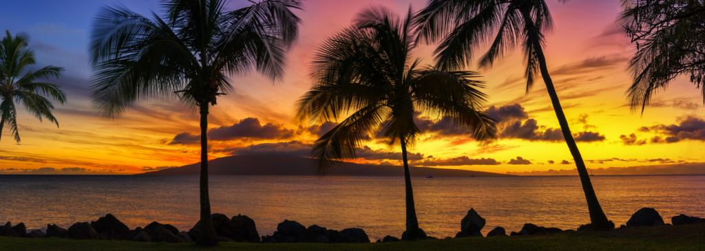 Beach sunset, orange, yellow, pink sky with palm tree outlines.