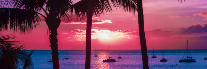 Pink and purple sunset over a sailboat filed cove on tropical island with silhouetted palm trees.