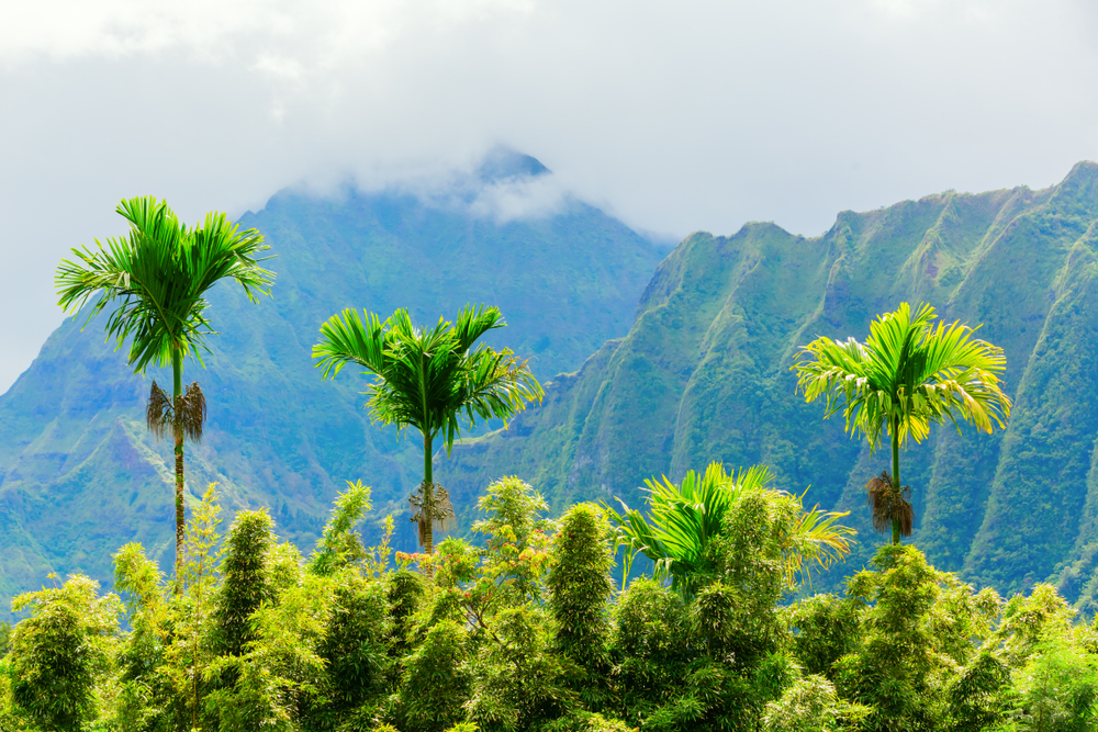 Botanical Garden on Oahu, Hawaii. Steep green mountain cliffs in background with clouds.