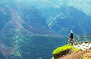 Man standing in lookout gazing over Waimea Canyon.